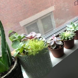 Meet your Posher, Elisabeth